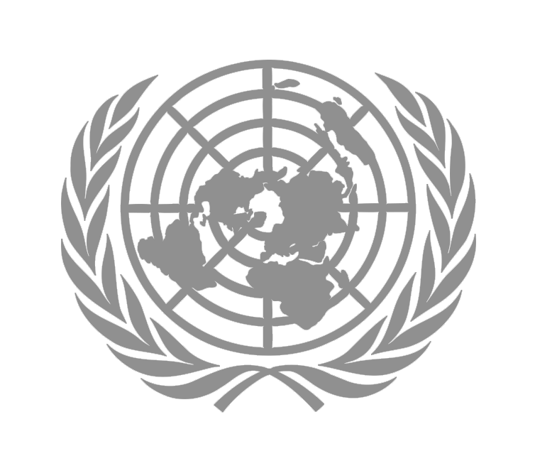 UN logo